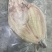 巴沙鱼反骨工艺干冰开背鱼三去工艺速冻锁鲜真空包装