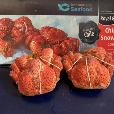 雪蟹一手货源批发