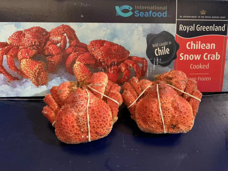 雪蟹一手货源批发