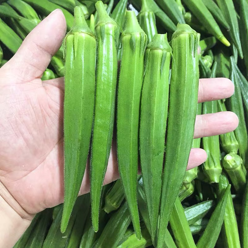 一件代发，新鲜水果秋葵，鲜嫩包邮