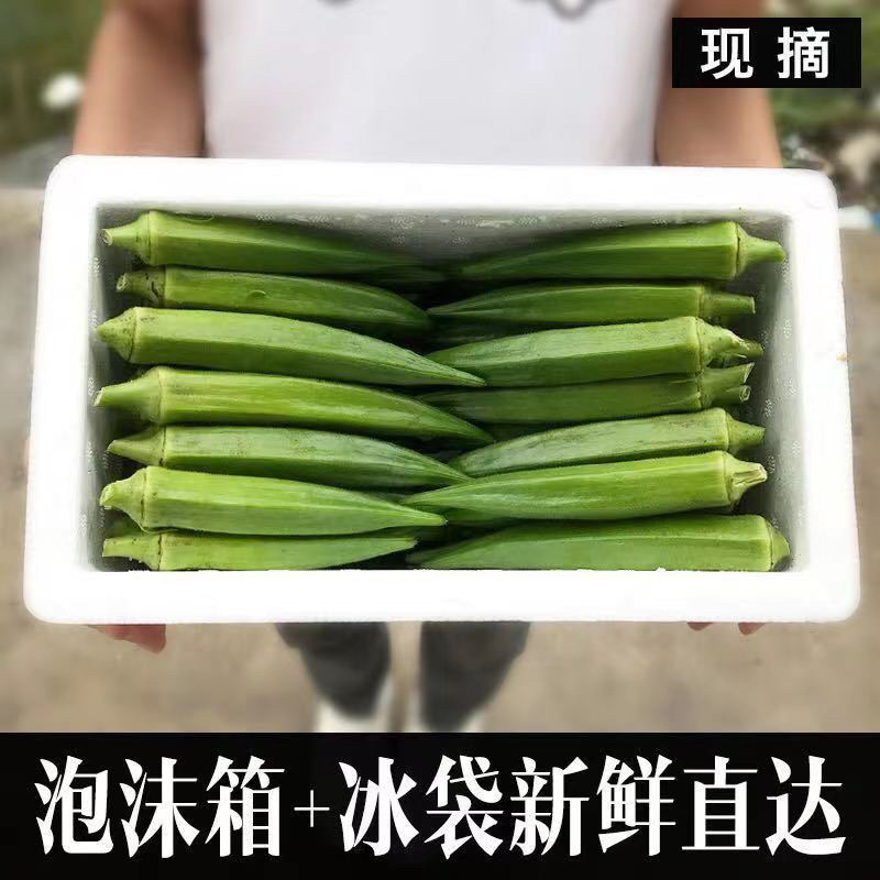 一件代发，新鲜水果秋葵，鲜嫩包邮