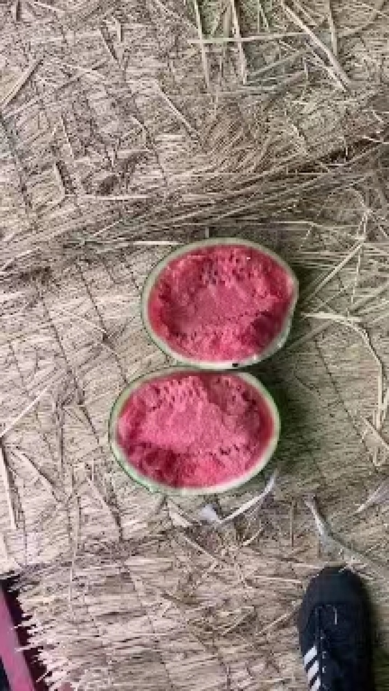甜王西瓜价格合理，质量稳定