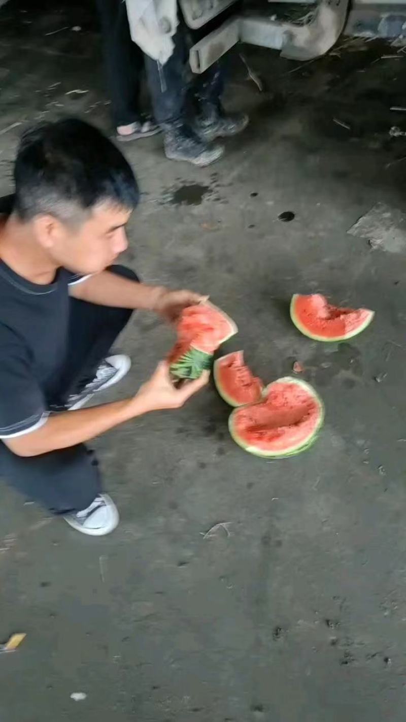 甜王西瓜价格合理，质量稳定