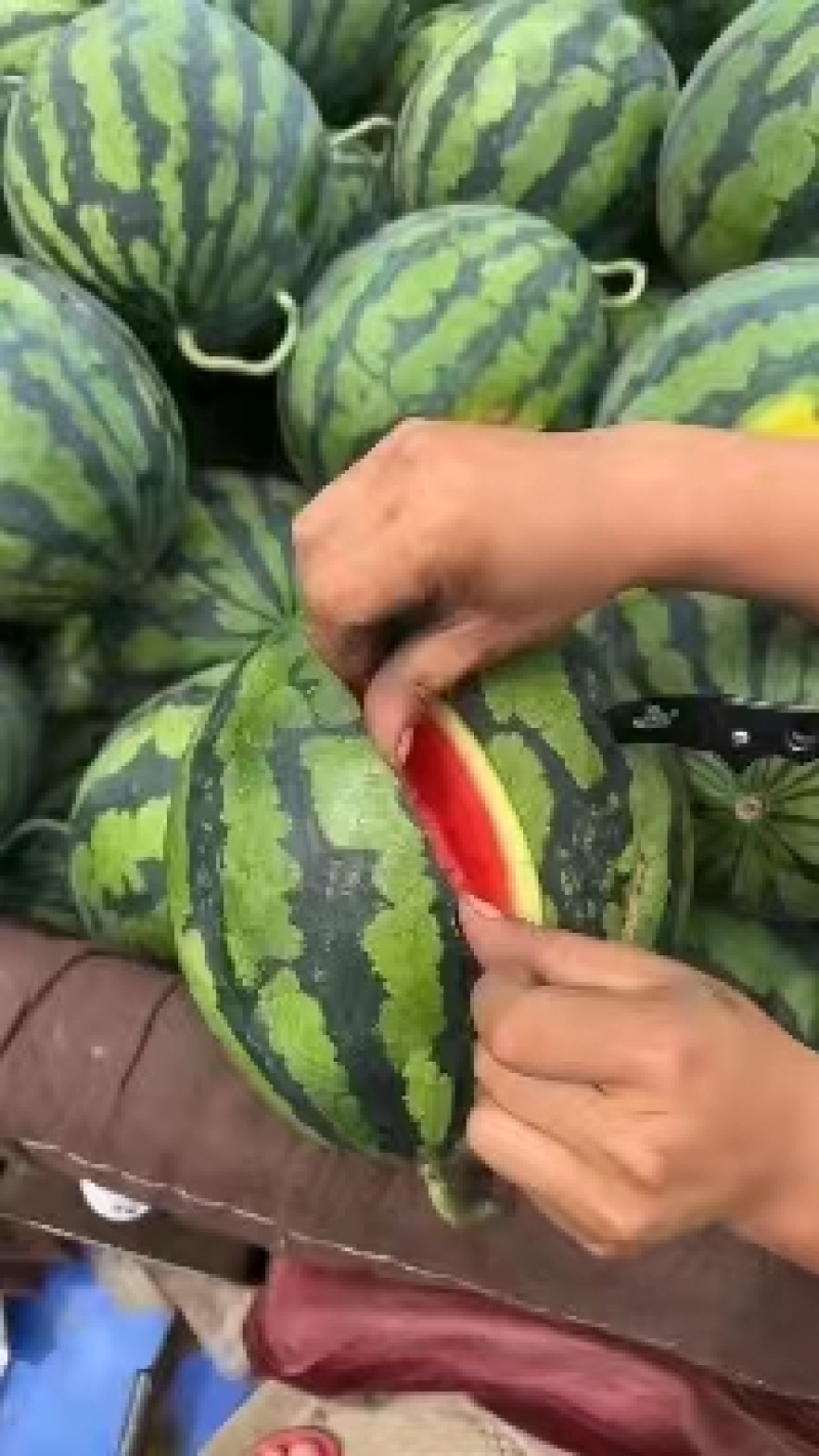 甜王西瓜价格合理，质量稳定