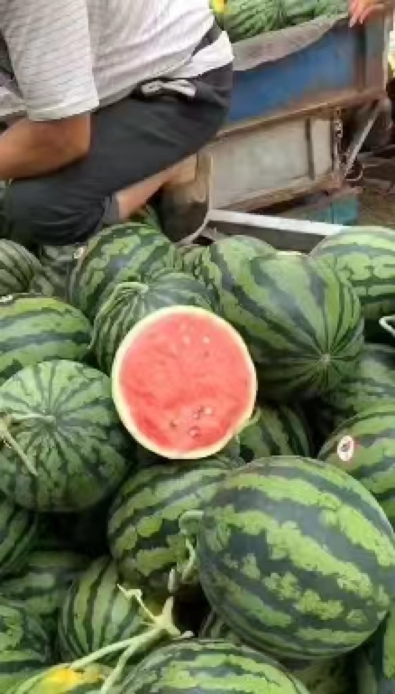 甜王西瓜价格合理，质量稳定