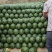 甜王西瓜价格合理，质量稳定