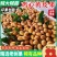 爆品《鸡心黄皮果》产地直采，大量供电商市场，工厂量大从优