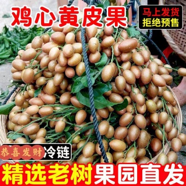优选《鸡心黄皮果》产地直发，大量供电商市场，加工厂，致电