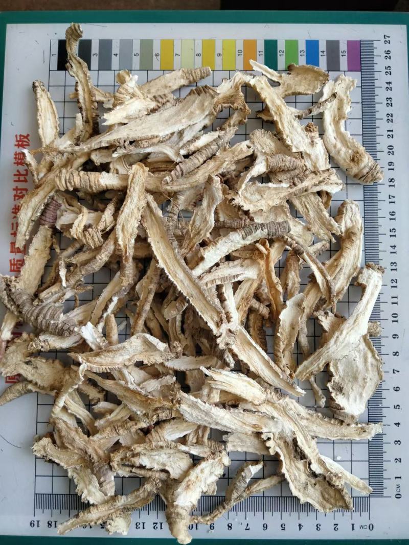 山海螺常年经营各种中药材欢迎选购！量大从优！