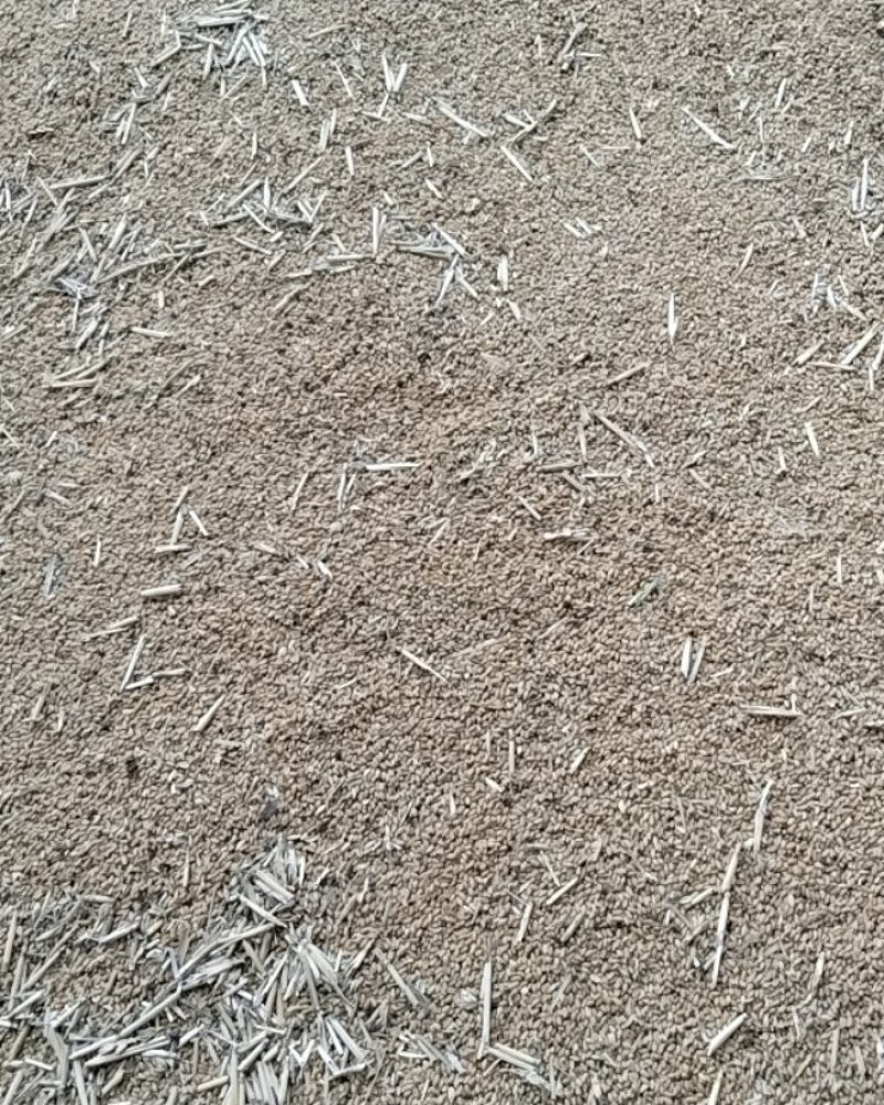 小麦
