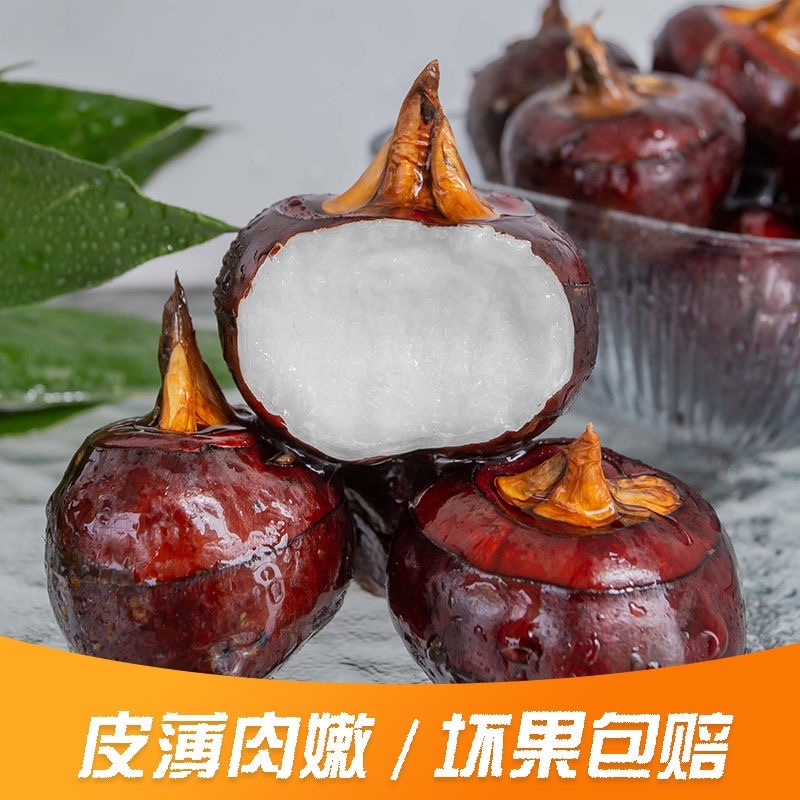 广西带泥马蹄四季供应，可按需挑选，市场平台电商都可供应