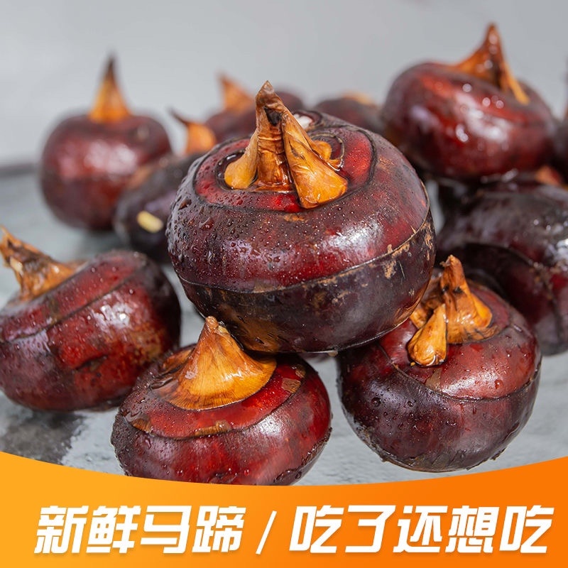 广西带泥马蹄四季供应，可按需挑选，市场平台电商都可供应