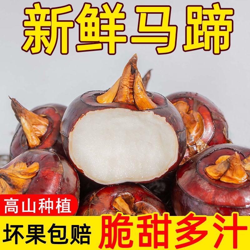 一件代发马蹄荸荠，5斤3斤1斤，包邮