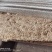 长短稻壳