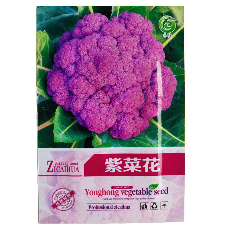 紫花椰菜种子有机西兰花种子四季蔬菜种子紫花菜夏秋季播农家