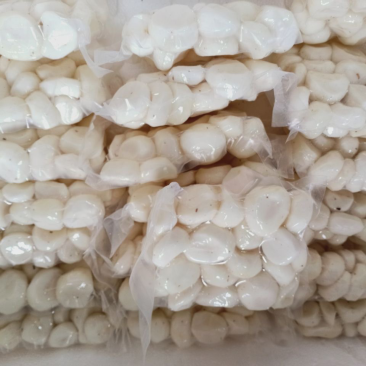 全程冷链，真空去皮马蹄荸荠，250克500克，泡沫箱发货