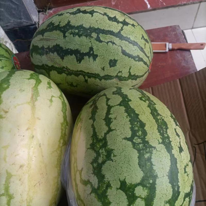 急售:甜王西瓜精品西瓜大量有货诚信经营来电咨询
