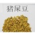 新采猪屎豆种子太阳麻种子椭圆叶猪屎豆三圆叶猪屎豆种