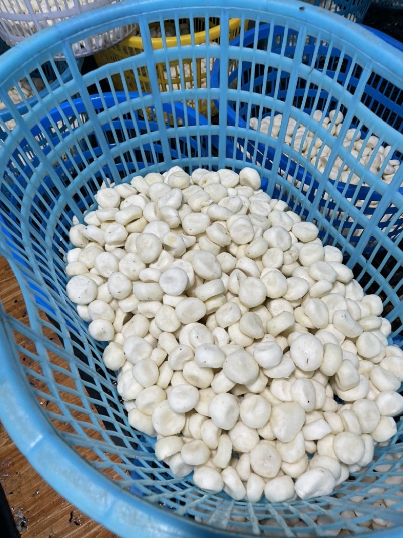 全程冷链，真空去皮马蹄荸荠，250克500克，泡沫箱发货