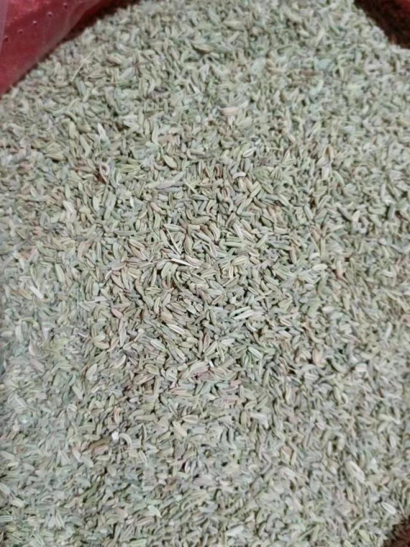 小茴香产地甘肃，产地一手货源，实拍现货，24小时发货