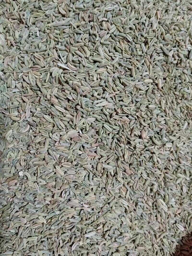 小茴香产地甘肃，产地一手货源，实拍现货，24小时发货