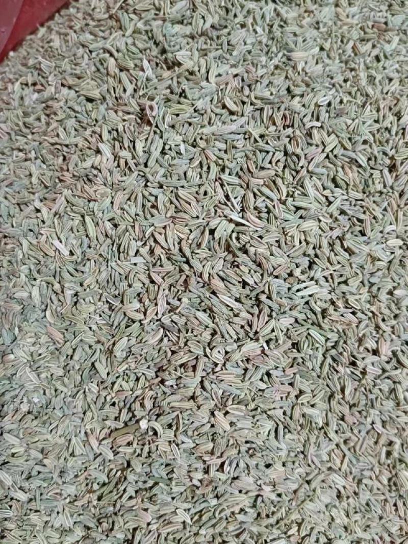 小茴香产地甘肃，产地一手货源，实拍现货，24小时发货