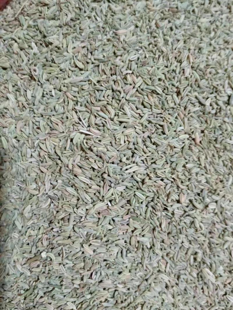 小茴香产地甘肃，产地一手货源，实拍现货，24小时发货