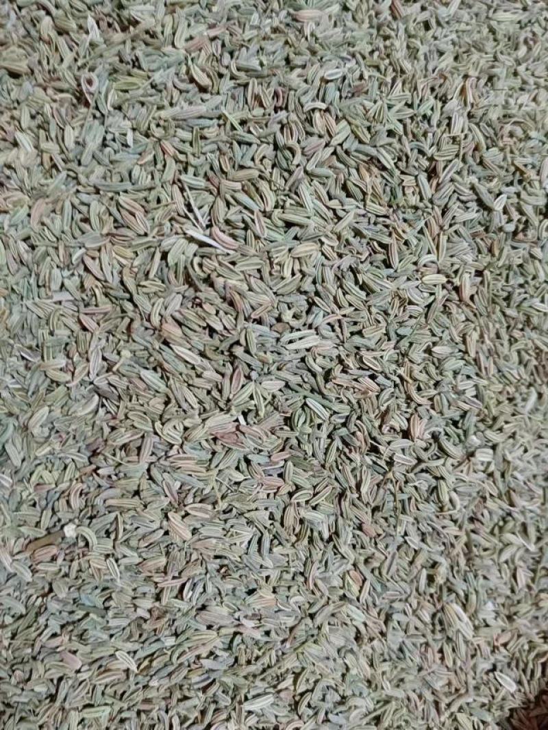 小茴香产地甘肃，产地一手货源，实拍现货，24小时发货