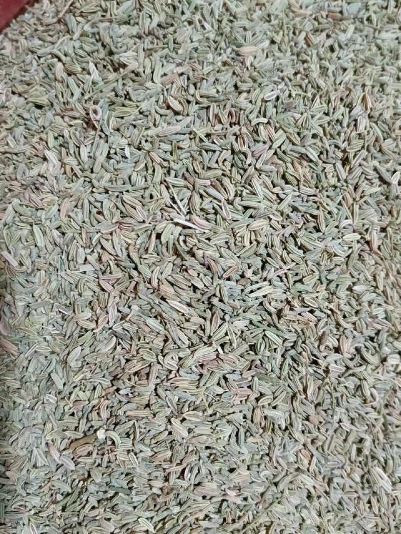 小茴香产地甘肃，产地一手货源，实拍现货，24小时发货