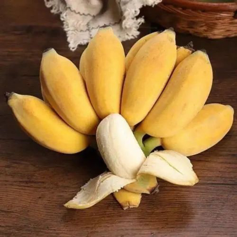 小米蕉香蕉水果小香蕉3/5/9斤现摘当季香蕉整箱
