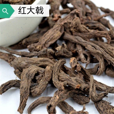 中药材批发零售大戟红大戟