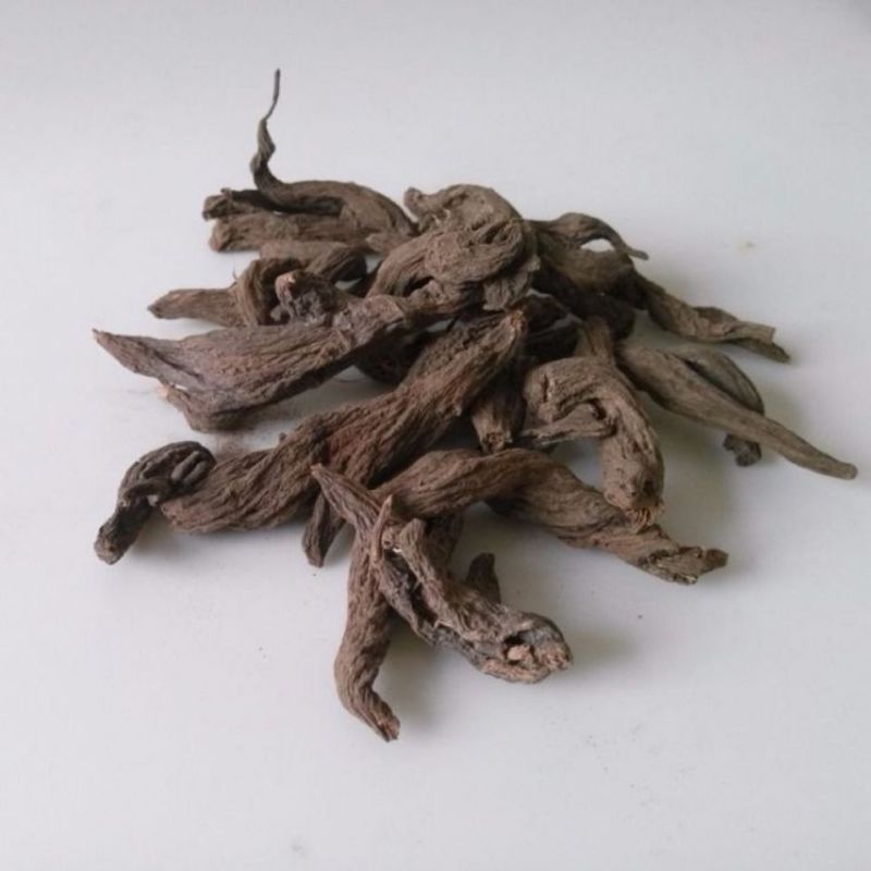 中药材批发零售大戟红大戟