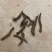 中药材批发零售大戟红大戟