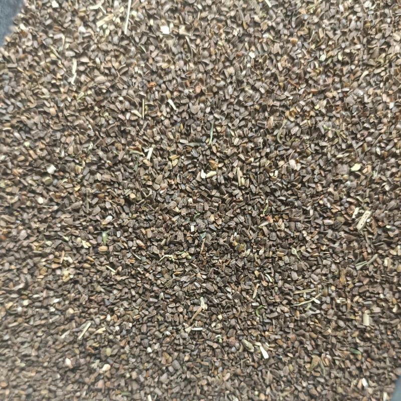 正品益母草种籽子食用苗益母草籽中药材种子四季青菜籽种蔬菜