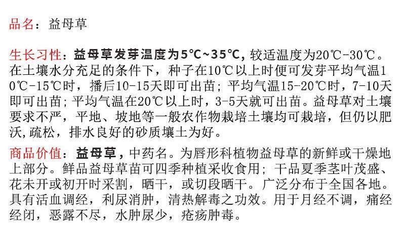 正品益母草种籽子食用苗益母草籽中药材种子四季青菜籽种蔬菜