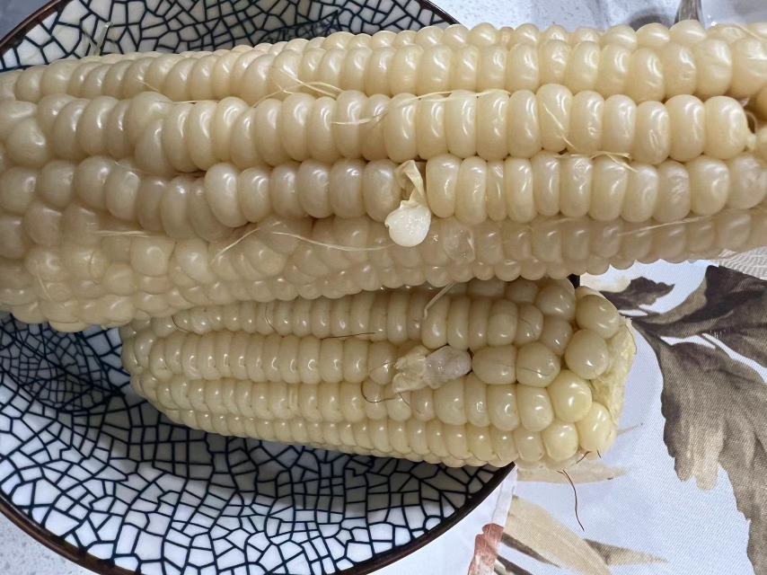 食材处理过程图