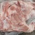 前上肉，新货，4~6片，有隔膜，手续齐全，价格便宜