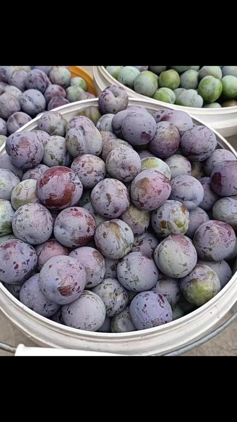 本地蜂糖还有半个月大量上市