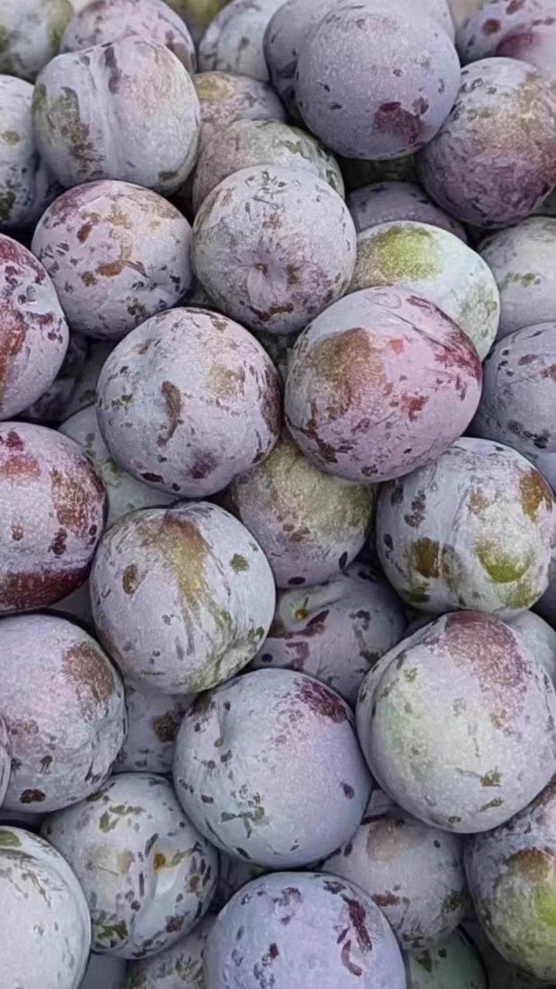 本地蜂糖还有半个月大量上市
