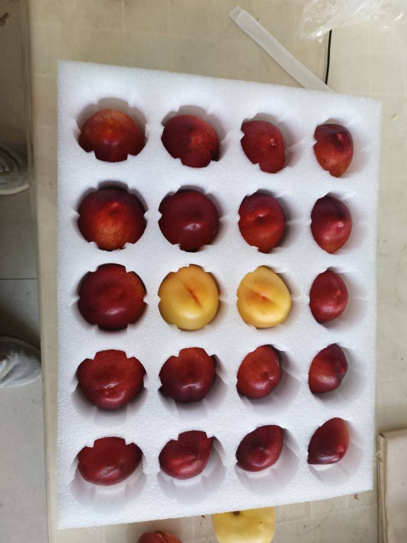 珍珠棉包装