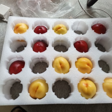 珍珠棉防震包装