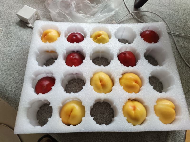 珍珠棉防震包装
