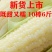 （包邮）新鲜东北黄糯玉米黑龙江黄糯玉米棒10根新鲜玉米