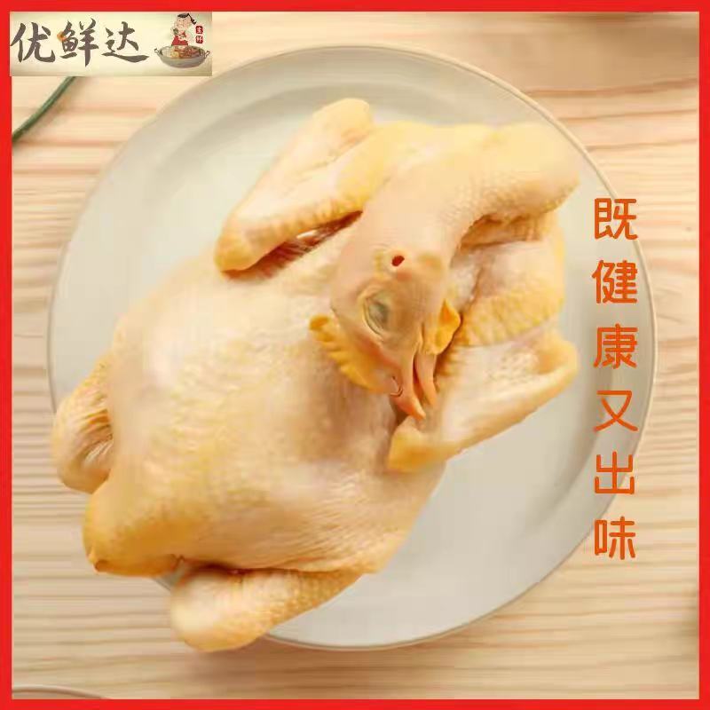 农家土鸡，走地鸡，冰鲜发货，白条鸡