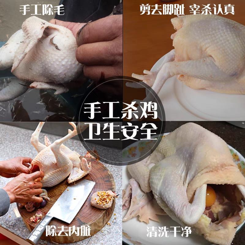 农家土鸡，走地鸡，冰鲜发货，白条鸡