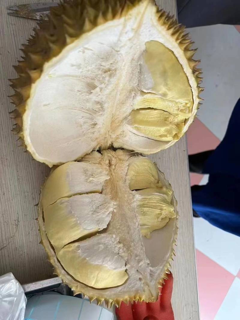 产地直发泰国金枕上线了