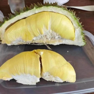产地直发泰国金枕上线了
