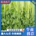 南通市精品小香芹基地一手货源货源稳定，量非常大