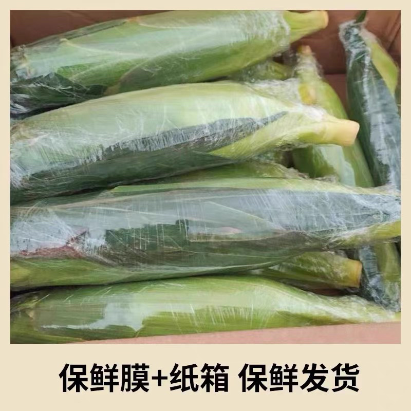 花糯玉米3/5/9斤一件代发新鲜现摘水果糯甜黏玉米批发