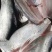 活鱼杀冻好白莲鱼身